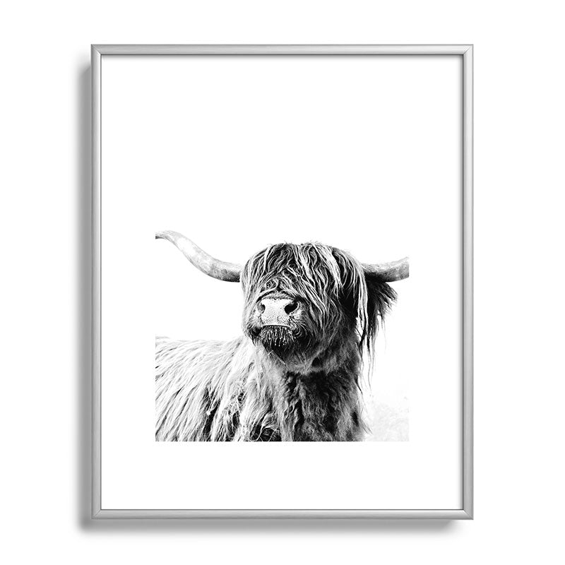 HIGHLAND CATTLE FRIDA Framed Art Print Gallery Image 131