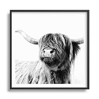 HIGHLAND CATTLE FRIDA Framed Art Print Gallery Image 122