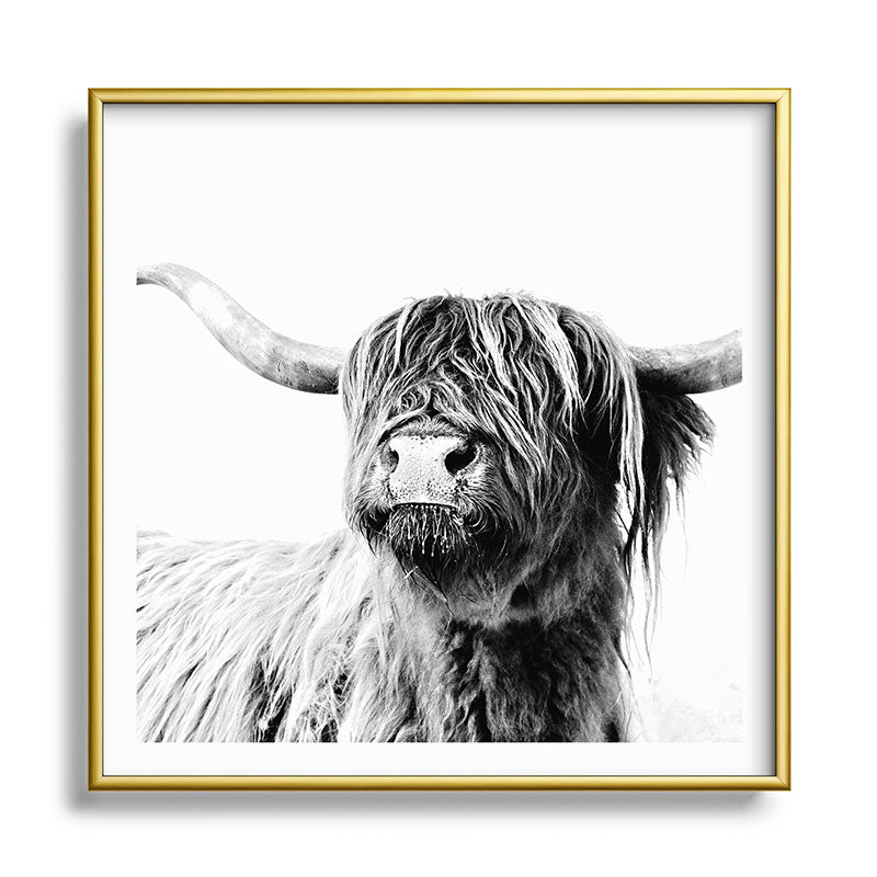 HIGHLAND CATTLE FRIDA Framed Art Print Gallery Image 133