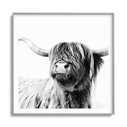 HIGHLAND CATTLE FRIDA Framed Art Print Gallery Image 141