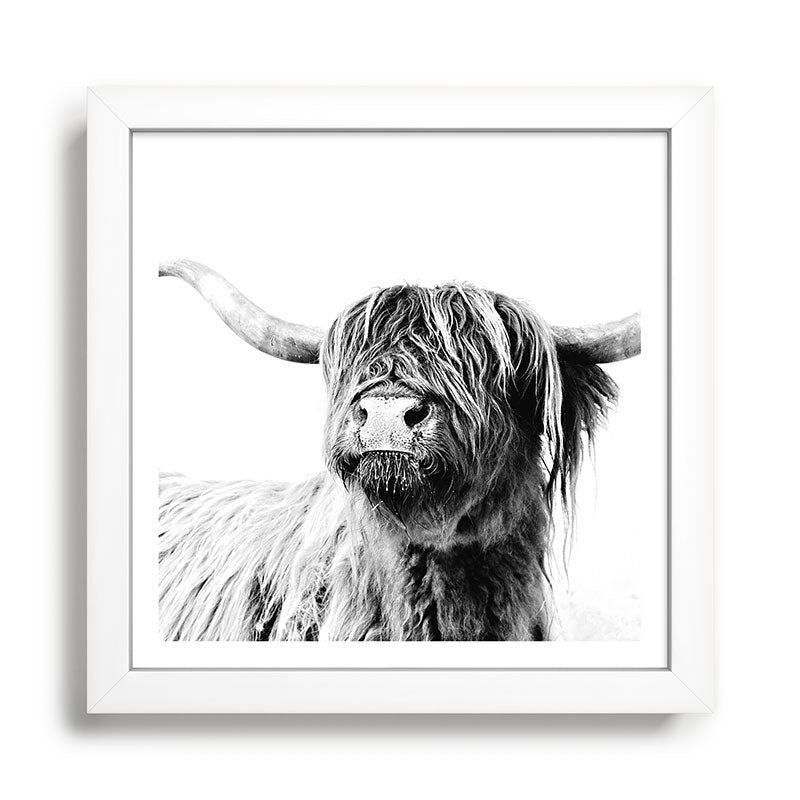 HIGHLAND CATTLE FRIDA Framed Art Print Gallery Image 35