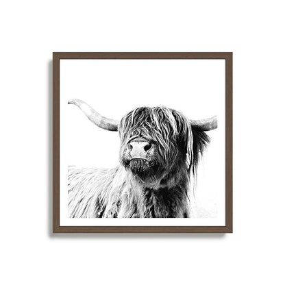 HIGHLAND CATTLE FRIDA Framed Art Print Gallery Image 17