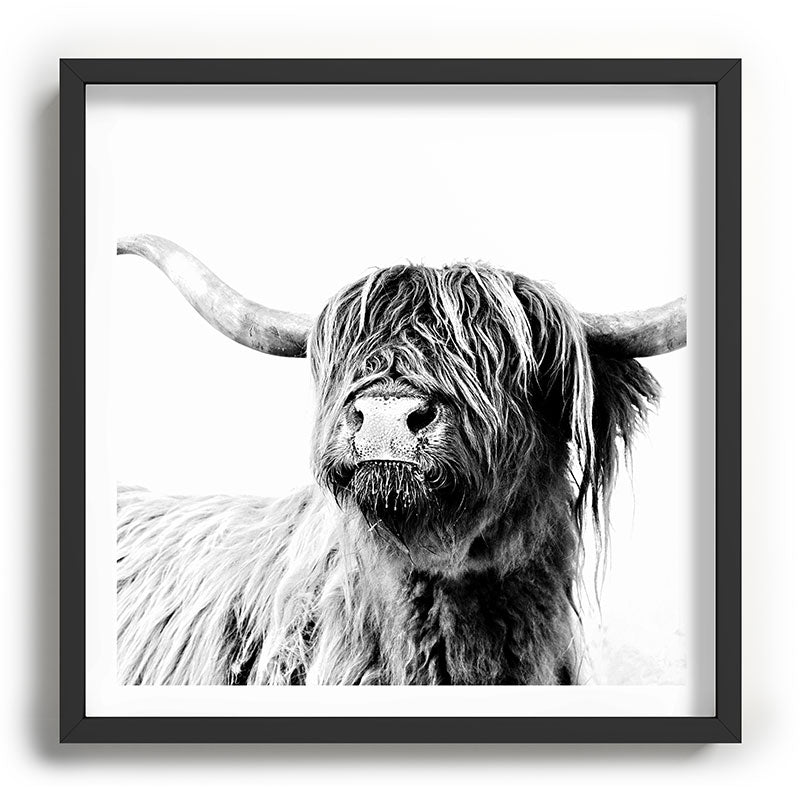 HIGHLAND CATTLE FRIDA Framed Art Print Gallery Image 93