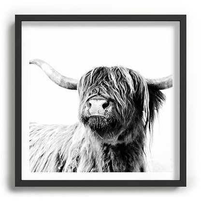 HIGHLAND CATTLE FRIDA Framed Art Print Gallery Image 93