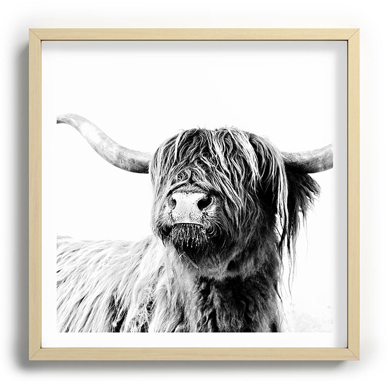 HIGHLAND CATTLE FRIDA Framed Art Print Gallery Image 109