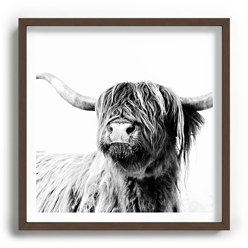 HIGHLAND CATTLE FRIDA Framed Art Print Gallery Image 101