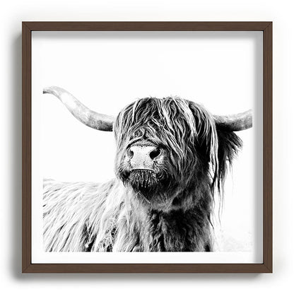 HIGHLAND CATTLE FRIDA Framed Art Print Gallery Image 101
