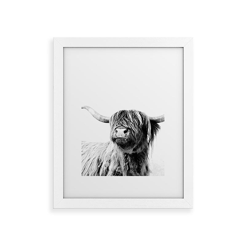 HIGHLAND CATTLE FRIDA Framed Art Print Gallery Image 70