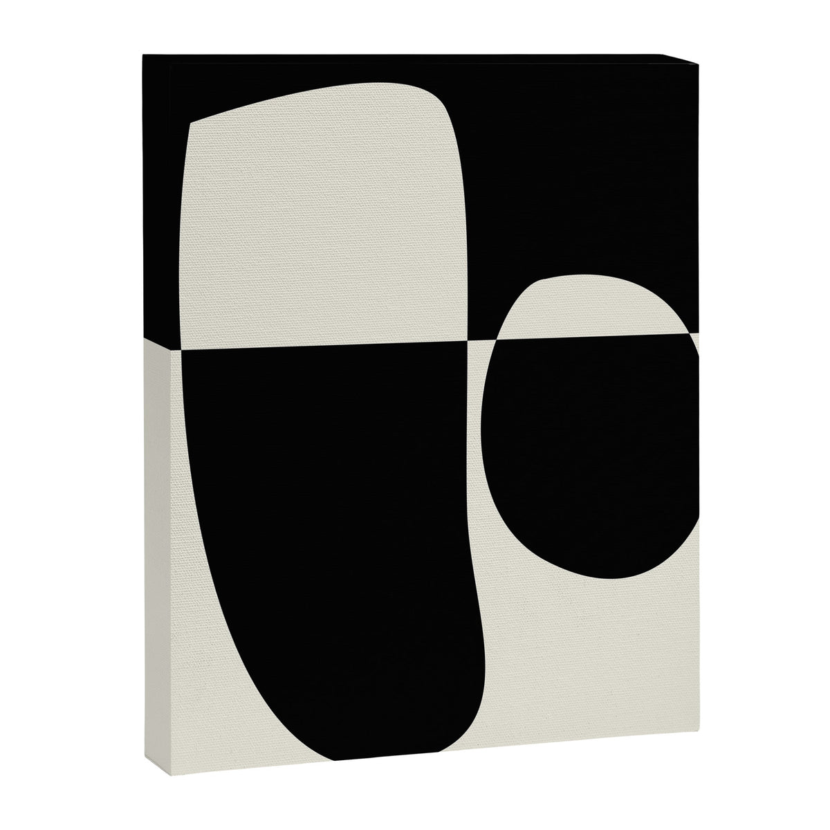 // Reverse 02 Canvas Print Gallery Image 4