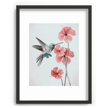 Hummingbird with Hibiscus Framed Art Print Gallery Image 61