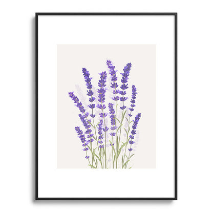 Lavender II Framed Art Print Gallery Image 84