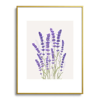 Lavender II Framed Art Print Gallery Image 92