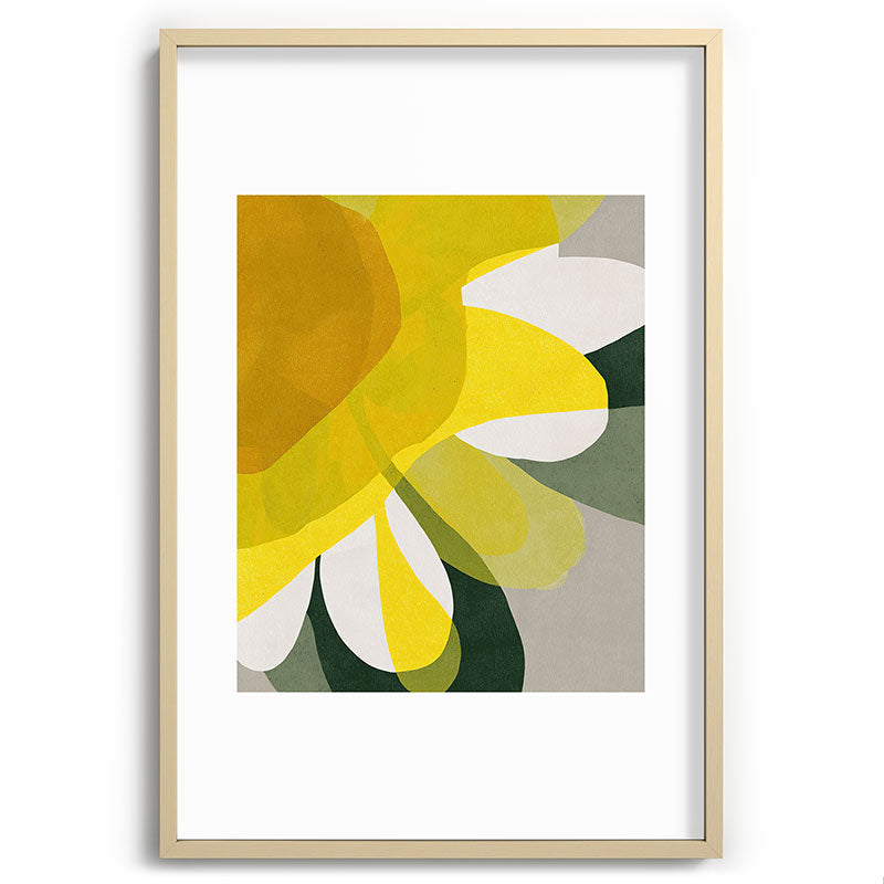 Petals in Full Light Framed Art Print Gallery Image 74