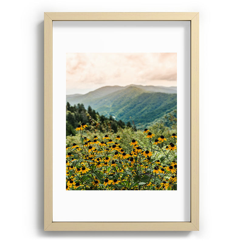 Smoky Mountains Wildflower Nature Photography Framed Art Print Gallery Image 71