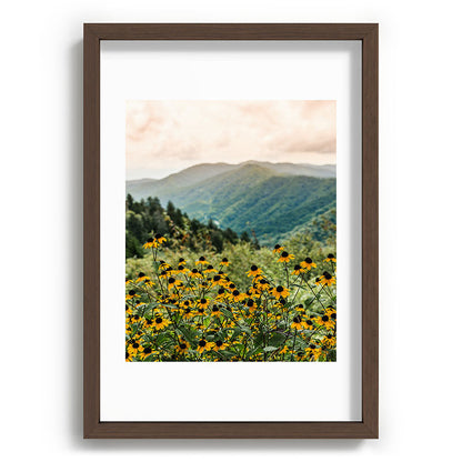 Smoky Mountains Wildflower Nature Photography Framed Art Print Gallery Image 65