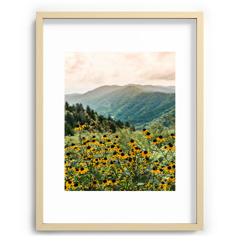 Smoky Mountains Wildflower Nature Photography Framed Art Print Gallery Image 73