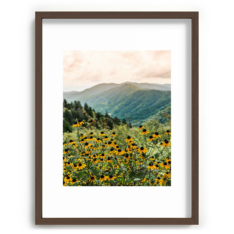 Smoky Mountains Wildflower Nature Photography Framed Art Print Gallery Image 66