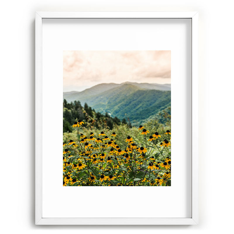Smoky Mountains Wildflower Nature Photography Framed Art Print Gallery Image 78