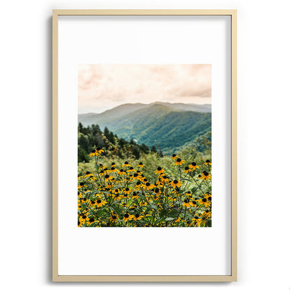 Smoky Mountains Wildflower Nature Photography Framed Art Print Gallery Image 74