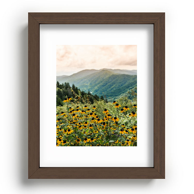 Smoky Mountains Wildflower Nature Photography Framed Art Print Gallery Image 64