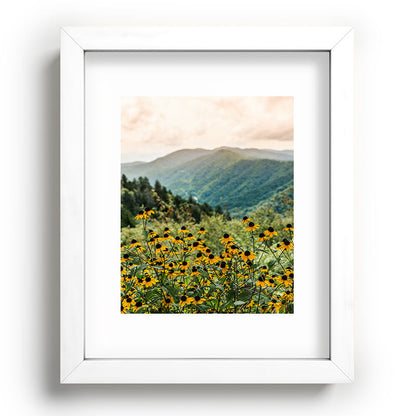 Smoky Mountains Wildflower Nature Photography Framed Art Print Gallery Image 75