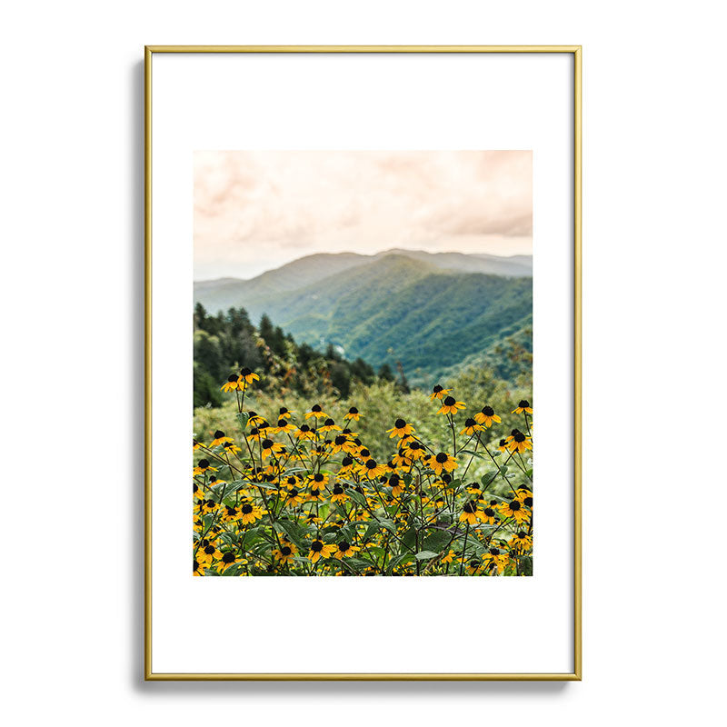 Smoky Mountains Wildflower Nature Photography Framed Art Print Gallery Image 90