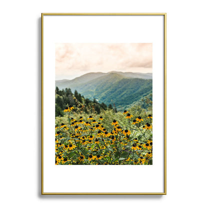 Smoky Mountains Wildflower Nature Photography Framed Art Print Gallery Image 90
