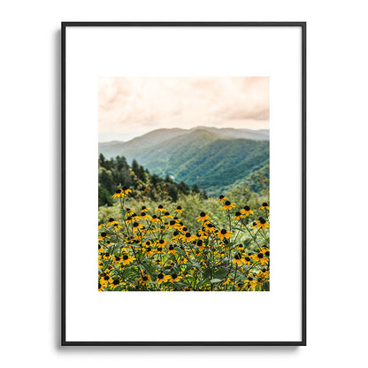 Smoky Mountains Wildflower Nature Photography Framed Art Print Gallery Image 84