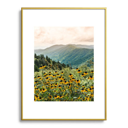 Smoky Mountains Wildflower Nature Photography Framed Art Print Gallery Image 91