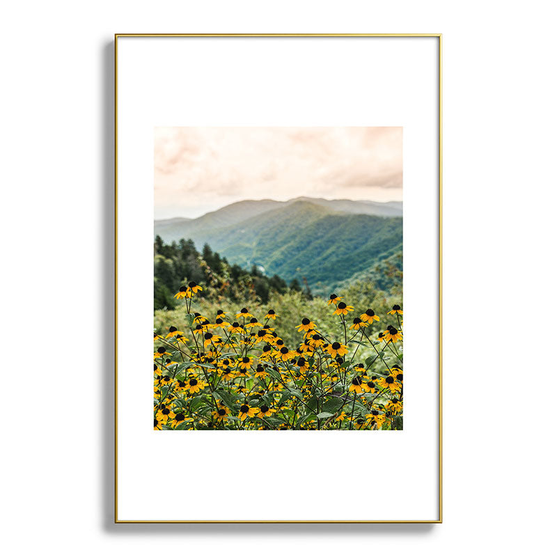 Smoky Mountains Wildflower Nature Photography Framed Art Print Gallery Image 94