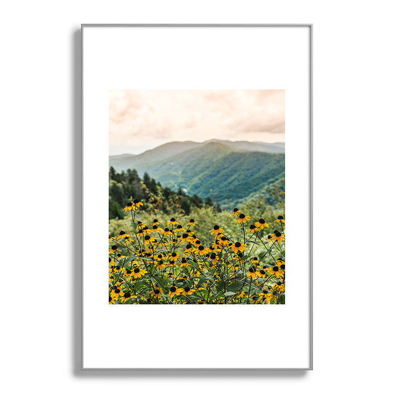 Smoky Mountains Wildflower Nature Photography Framed Art Print Gallery Image 100