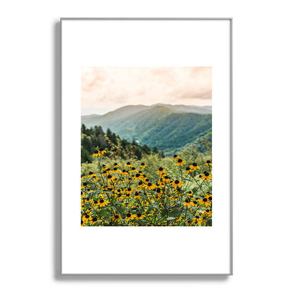 Smoky Mountains Wildflower Nature Photography Framed Art Print Gallery Image 100