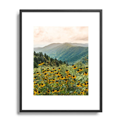 Smoky Mountains Wildflower Nature Photography Framed Art Print Gallery Image 81