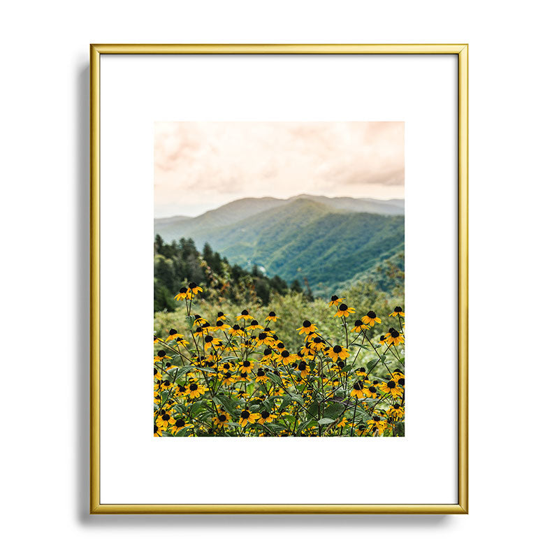 Smoky Mountains Wildflower Nature Photography Framed Art Print Gallery Image 88