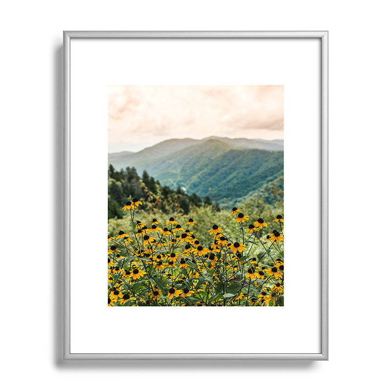 Smoky Mountains Wildflower Nature Photography Framed Art Print Gallery Image 95