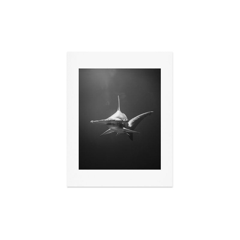 Hammerhead Shark (Black and White) Art Print Gallery Image 3