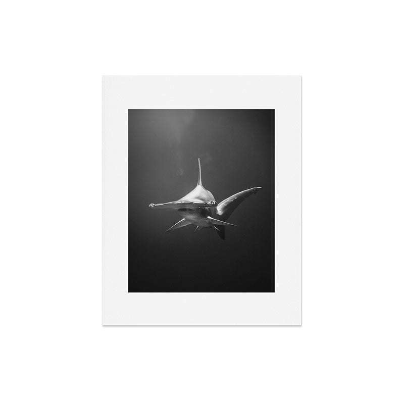 Hammerhead Shark (Black and White) Art Print Gallery Image 4