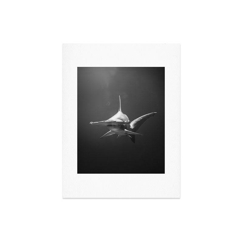 Hammerhead Shark (Black and White) Art Print Gallery Image 6