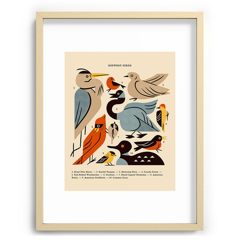 Midwest Birds Guide Framed Art Print Gallery Image 100