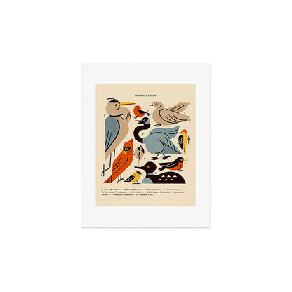 Midwest Birds Guide Art Print Gallery Image 4