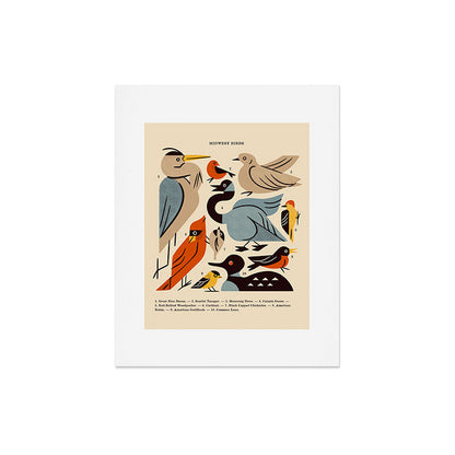 Midwest Birds Guide Art Print Gallery Image 7