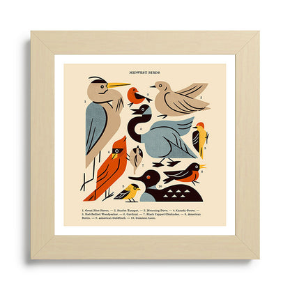 Midwest Birds Guide Framed Art Print Gallery Image 68