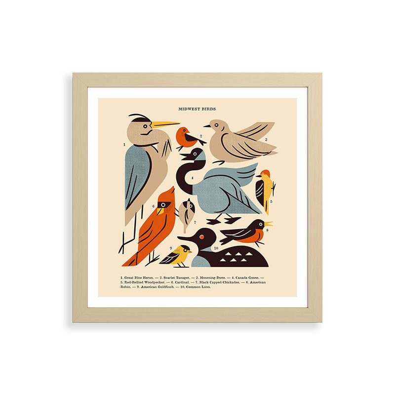 Midwest Birds Guide Framed Art Print Gallery Image 71