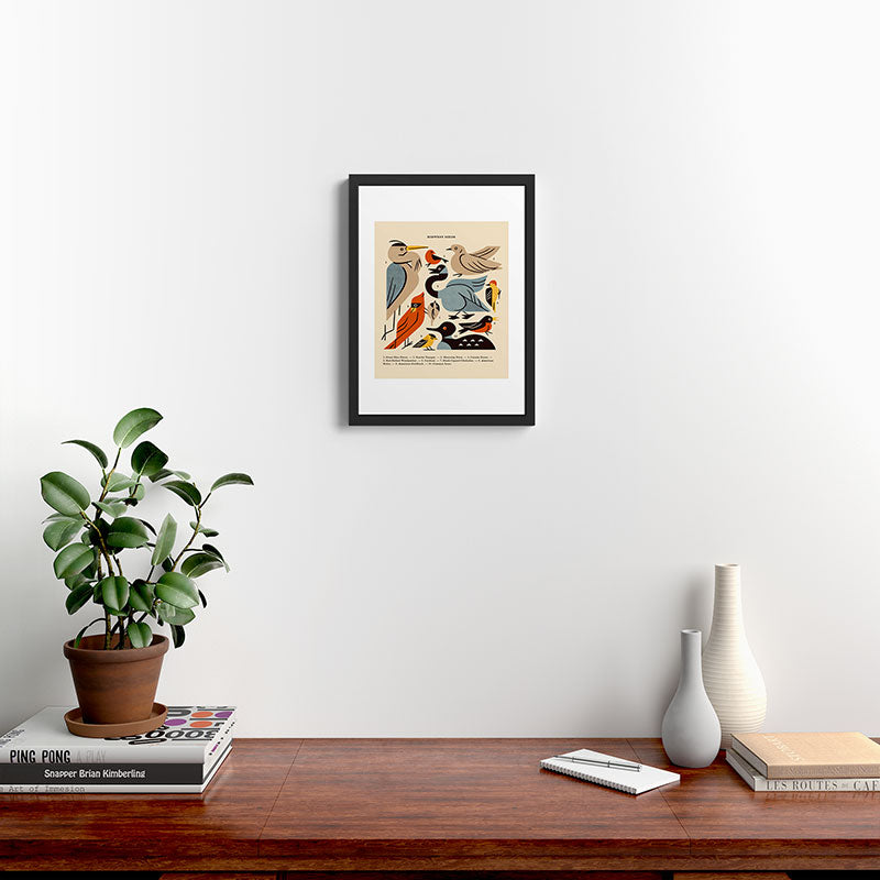 Midwest Birds Guide Framed Art Print Gallery Image 4