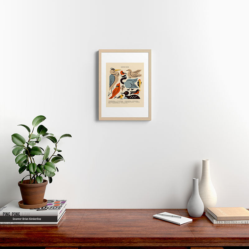Midwest Birds Guide Framed Art Print Gallery Image 23