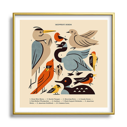 Midwest Birds Guide Framed Art Print Gallery Image 133