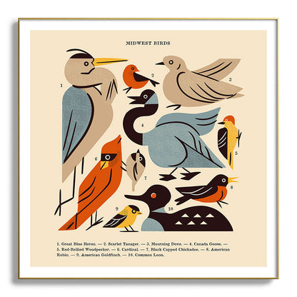 Midwest Birds Guide Framed Art Print Gallery Image 139