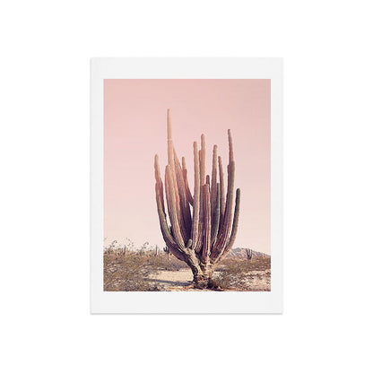 Blush Cactus Art Print Gallery Image 7