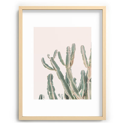 Sunrise Cactus Framed Art Print Gallery Image 72