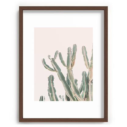 Sunrise Cactus Framed Art Print Gallery Image 66